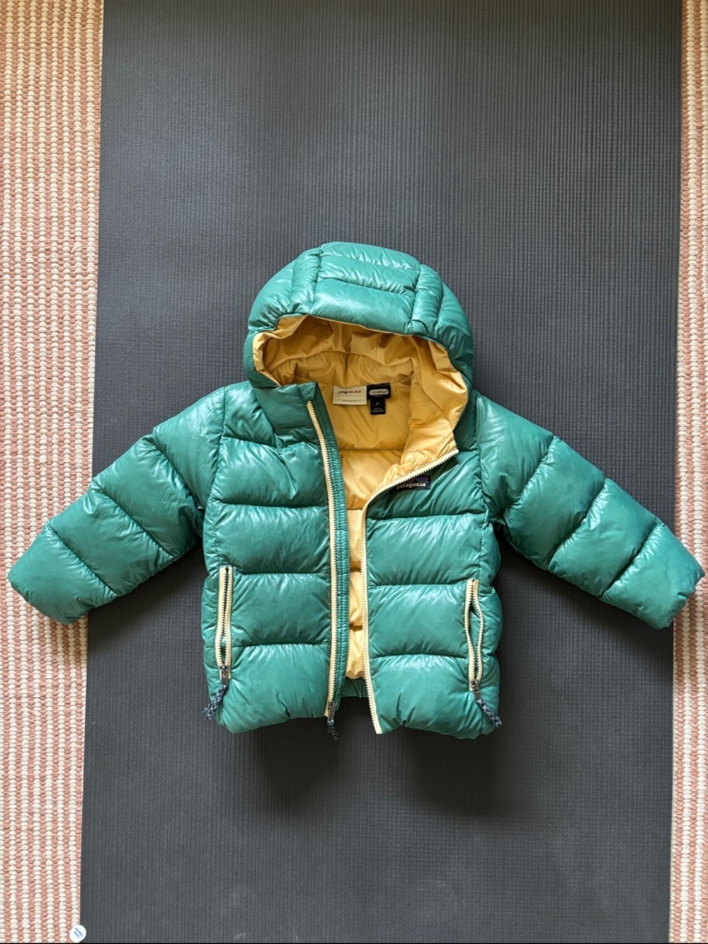 Patagonia hi loft down hoody